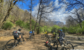 Persone in mountain bike nel bosco a Morterone