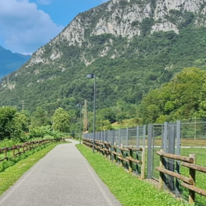 Piante selvatiche e sapori di montagna
