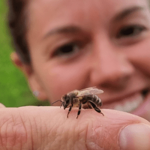 Bee Brunch