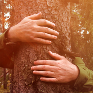 Forest bathing di Pasquetta