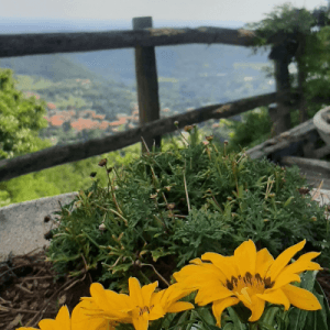 Panorami, vigneti e sapori della Brianza
